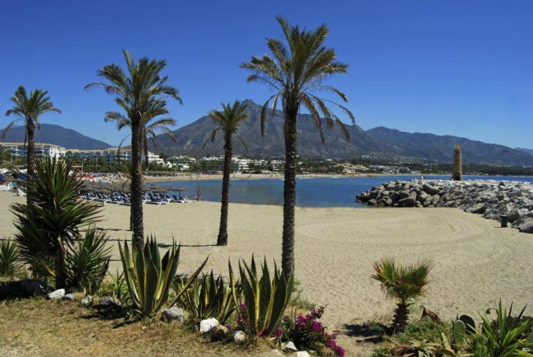 Renovado Apartamento 1 Dormitorio,Centro Marbella. Marbelsun 외부 사진